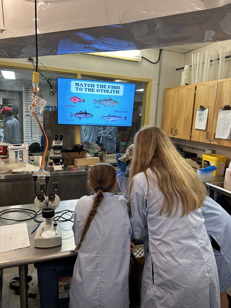 Gabrielle Perugini tweet media