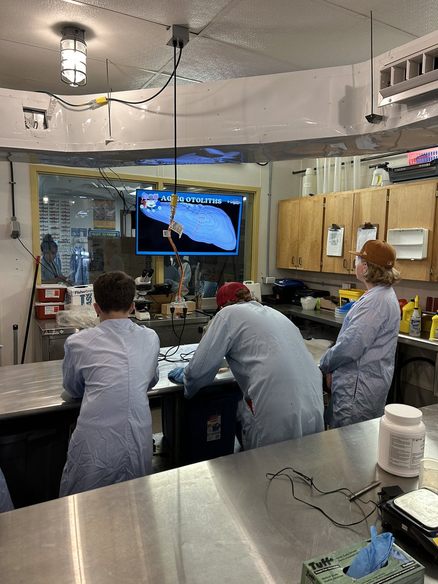 Gabrielle Perugini tweet media