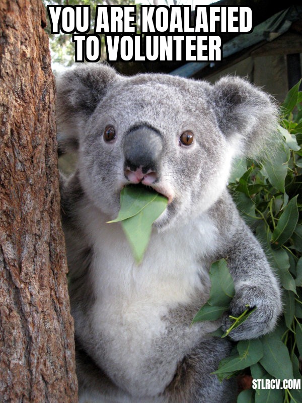 STL Ranked Choice Voting (@rankedstl) on Twitter photo 