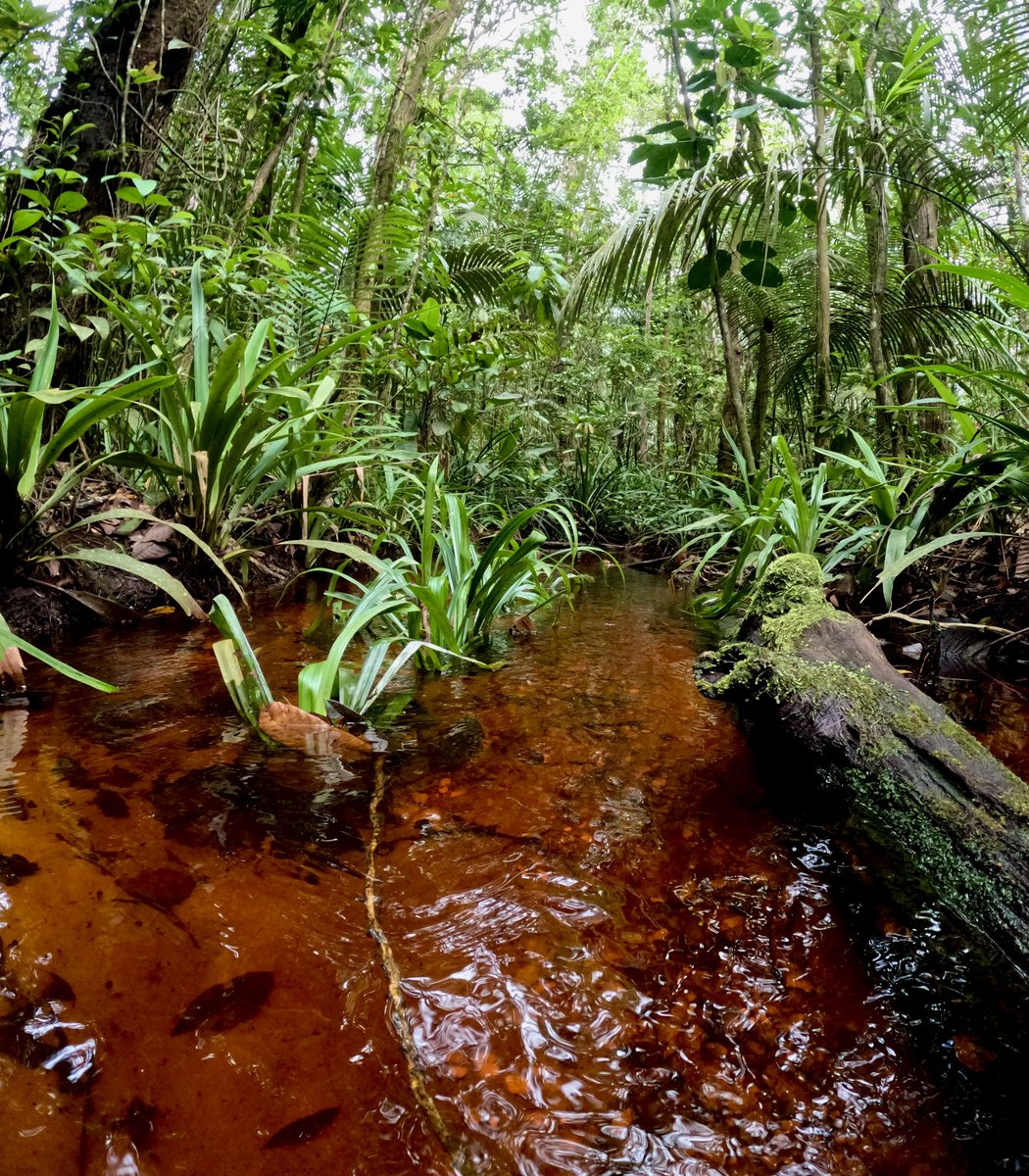 Vincent Merckx tweet media