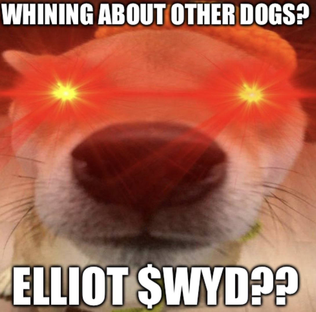 wyd_onsol's tweet photo. @elliotlfg Whining about other dogs?

$wyd? https://t.co/rzlQ5FXTVF