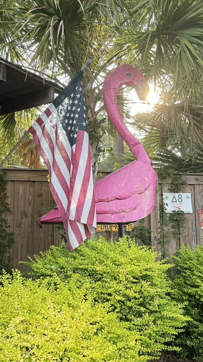 ChuckTownDaily's tweet photo. The spirit and essence of Lowcountry https://t.co/9t6Vx1ttXh