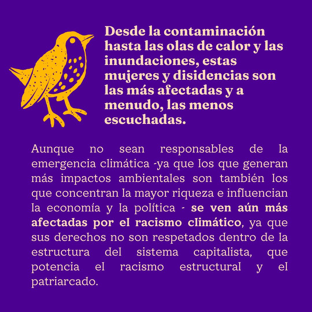 Red de Periodistas Migrantes tweet media