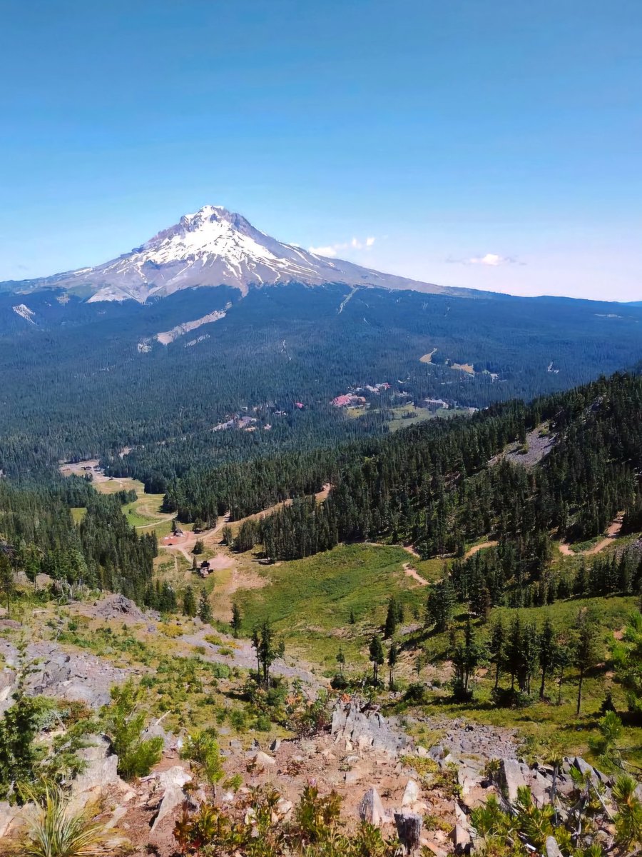 MeRedEye's tweet photo. View from top of Mt Hood @skibowl looking back towards Mt Hood Timberline.
#MtHoodOregon #Exploregon #PNWonderland #MtHoodSkiBowl #MtHoodTerritory https://t.co/ELsnGCjdJE