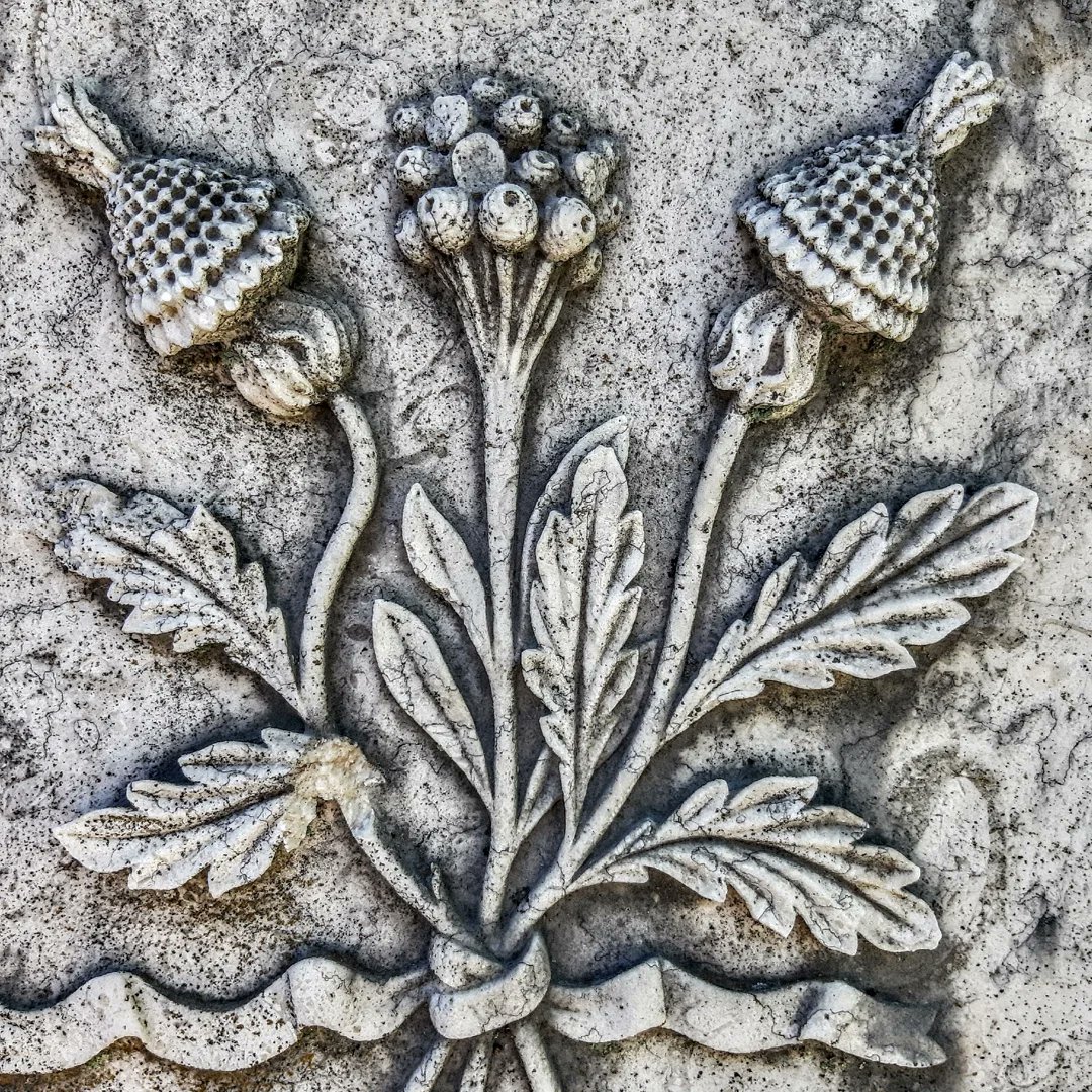 patriciamadeira's tweet photo. Discover the symbology and the stories of this beautiful one of a kind cemetery #PrazeresCemetery 💎 #Lisbon #Tram28sFinalDestinationPrazeresCemetery #AudioGuide #Art #History #Architecture #Portugal #VoiceMap #LisbonwithPats
https://t.co/ZPdjTu9WSf https://t.co/7LgHwIgC8J