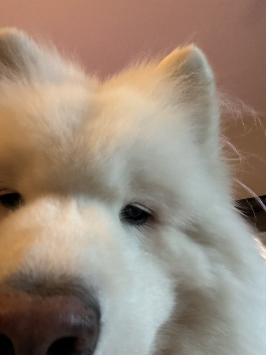 Heh heh heh (Olde man gregor fish breth update)