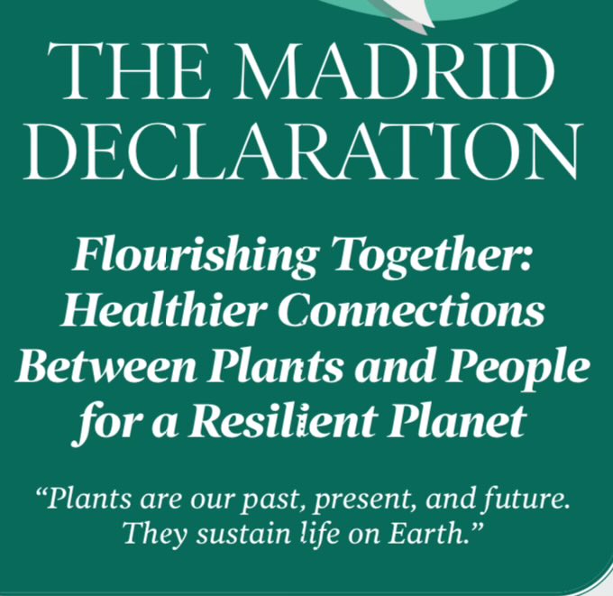 Carmen Acedo tweet media