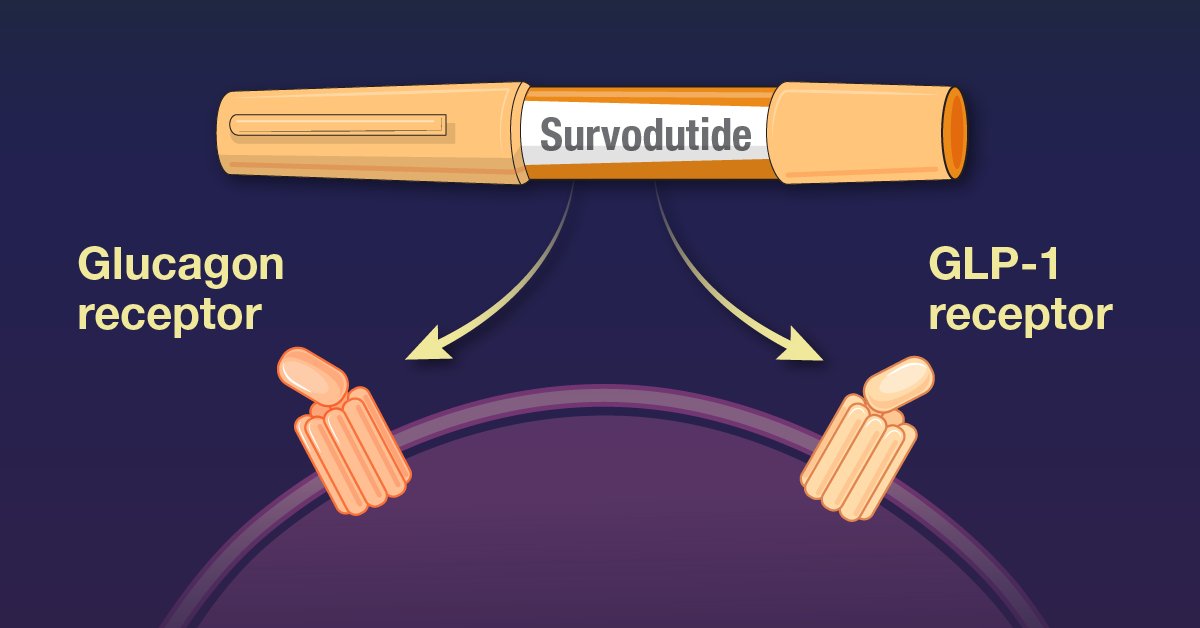 For patients with metabolic dysfunction–associated steatohepatitis and liver fibrosis, survodutide, a dual agonist of the glucagon and GLP-1 receptors, may confer clinical advantages. Research findings are summarized in a new Quick Take video. nej.md/3SmZ2im