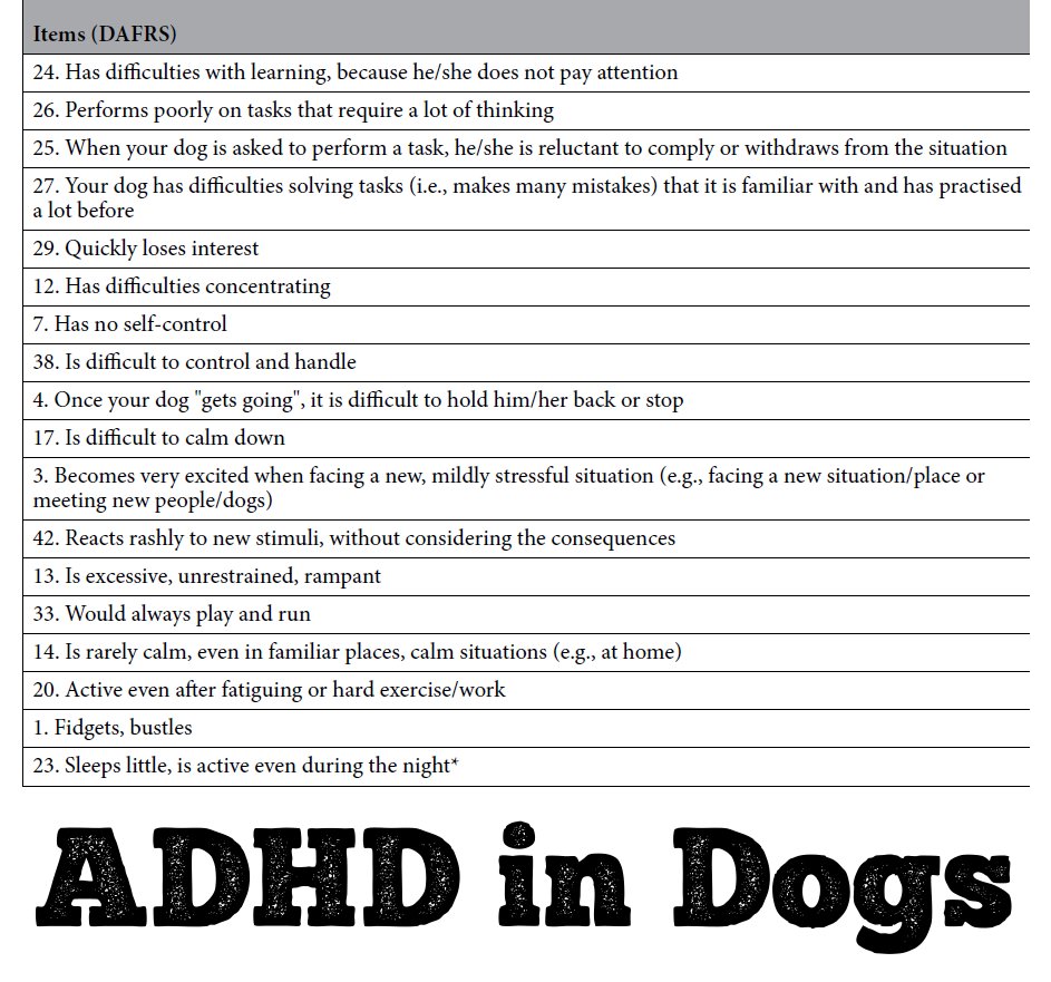 chrisaikenmd's tweet image. Does your dog always want to play and run? Get very excited in new situations? Trouble solving familiar tasks?

From the #dog #ADHD screen (yes, #veterinarians prescribe stimulants):
ncbi.nlm.nih.gov/pmc/articles/p…

I'm at a loss. What are your thoughts?

#add #adhdawareness #adhdlife