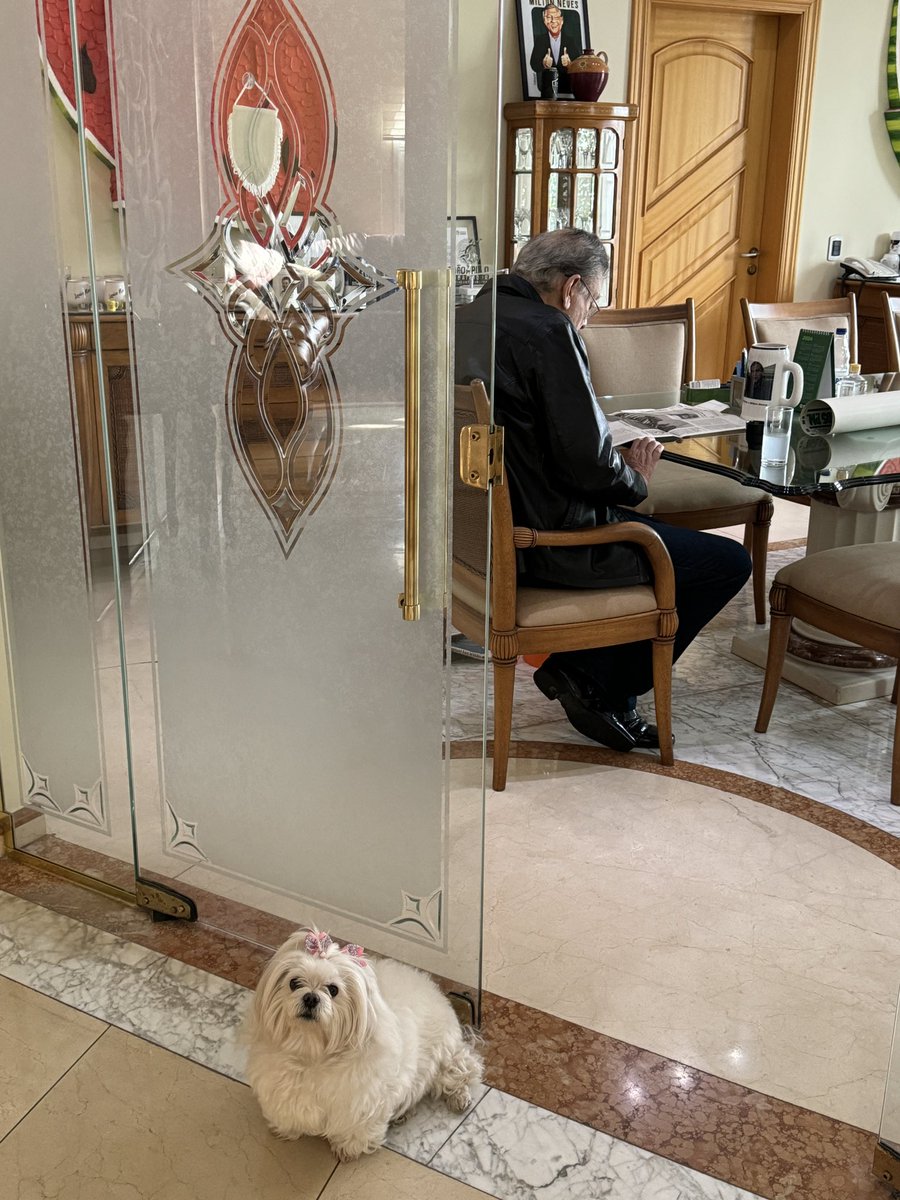 Miltonneves's tweet photo. Ninguém chega até mim sem passar pela minha cão de guarda, Hellen! Sempre atenta https://t.co/q8QV80CM1Y