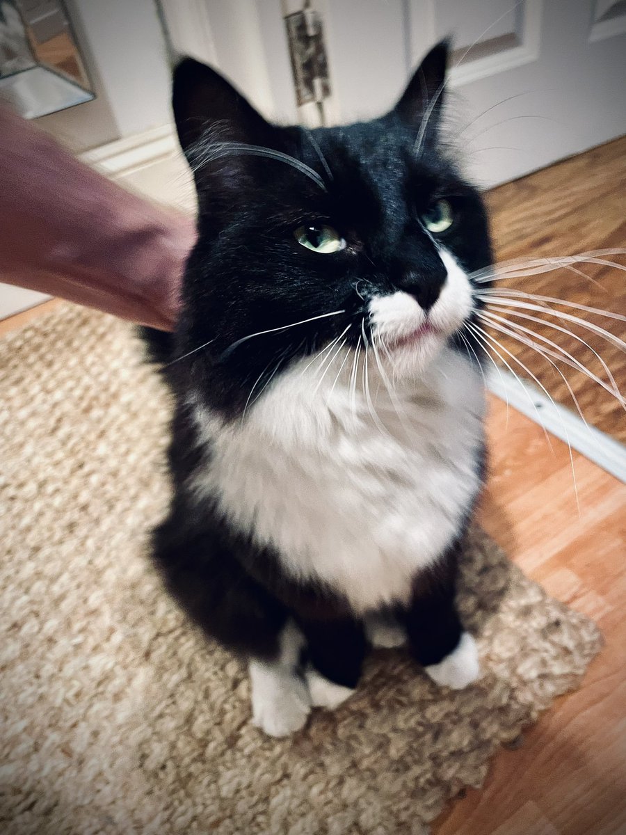 Liam Jarvis (@liamjarvis) on Twitter photo Getting a fair amount of Clair Huxtable side-eye from Albie this evening Getting a fair amount of Clair Huxtable side-eye from Albie this evening