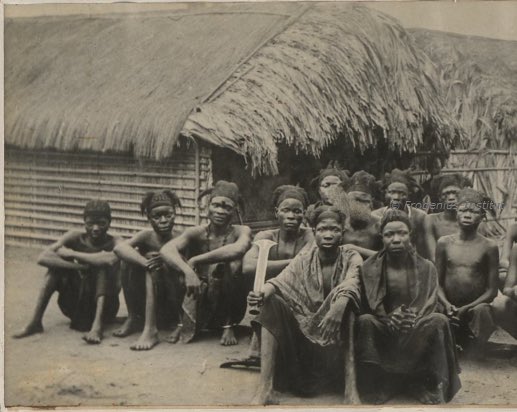 afrocrowns's tweet image. c.1890-1906 - More shots of the common freeformed hairstyling amongst Batende-Bapoto-Bangala people in the northern region of Congo
Extracts taken from the BMS Archive of G. Grenfell’s expedition