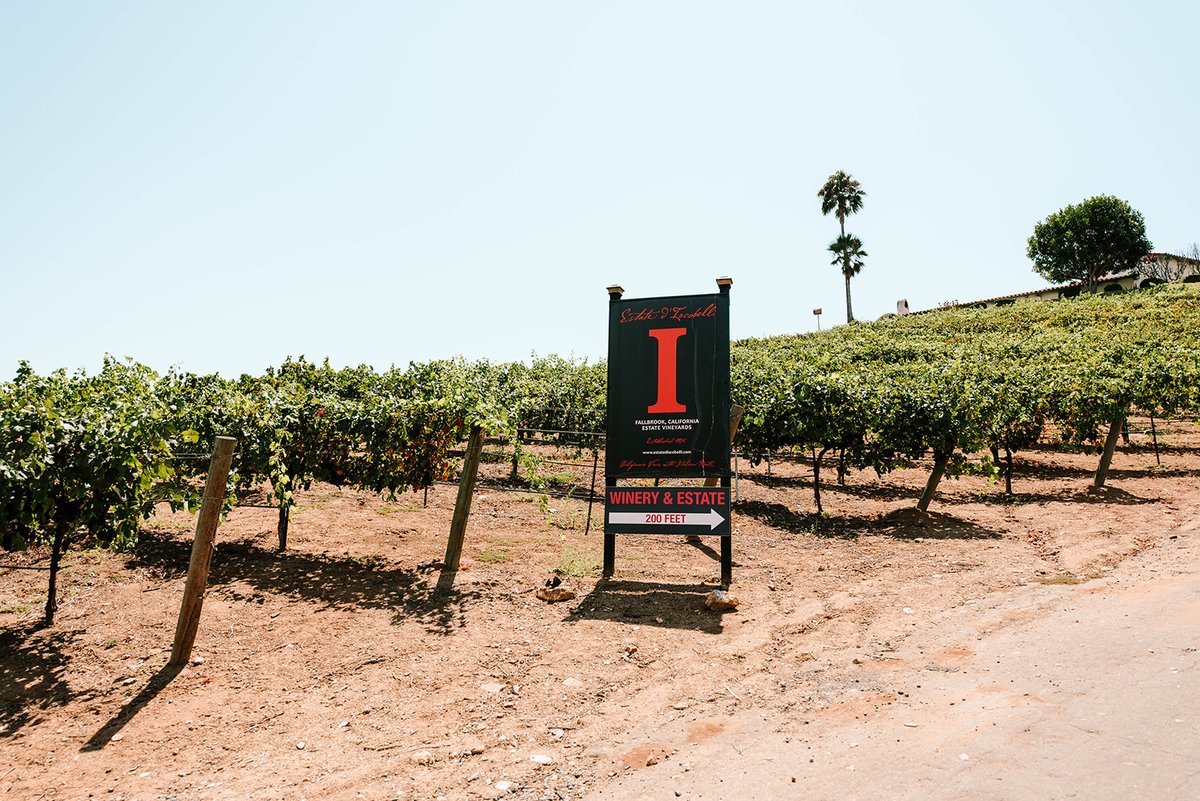 IacobelliWinery's tweet image. Two new wines are on their way and at least one is on its way out (for the time being). Come and enjoy! We're open from 12-6 Friday-Sunday. Come for the wine, stay for the view. #californiavines #italianroots