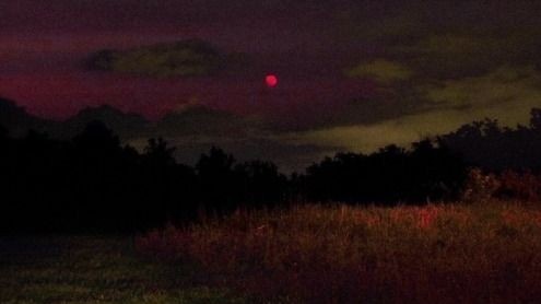 vermiilio's tweet image. ᅠ
ᅠᅠᅠᅠᅠᅠᅠ𝕻𝖺𝗇𝖽æ𝗆𝗈𝗇𝗂𝗎𝗆.
ᅠ