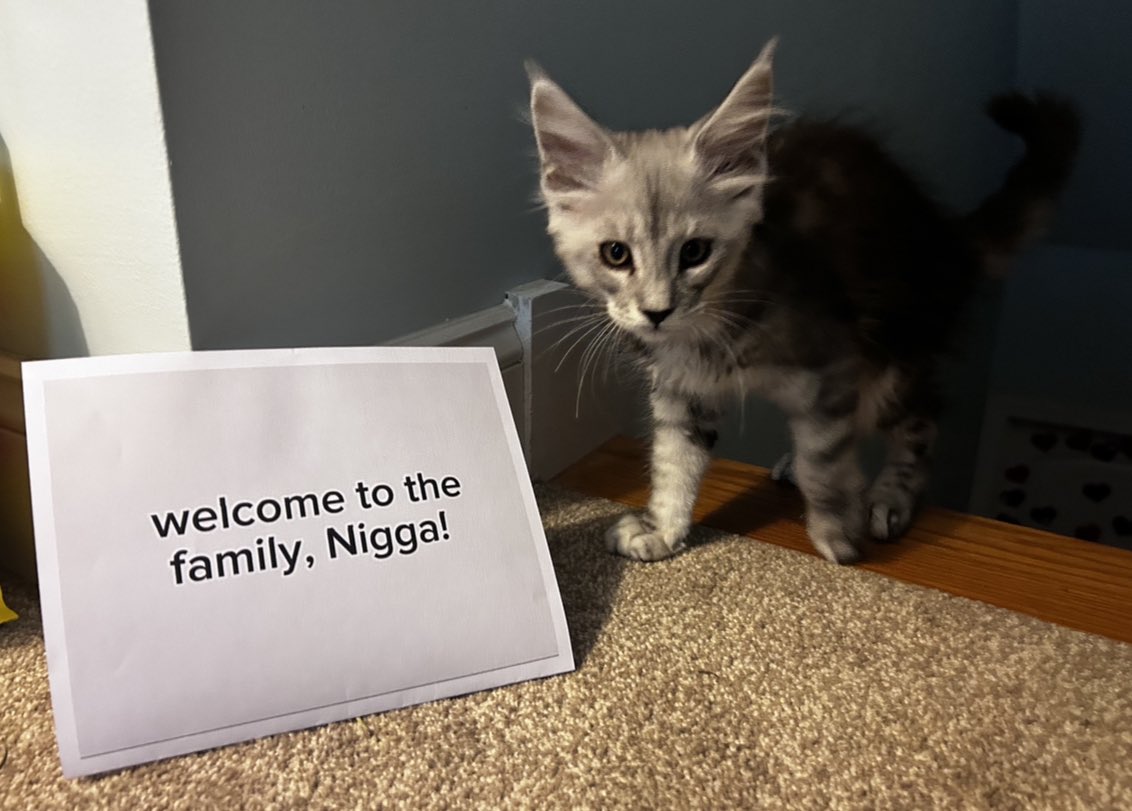 never doing this again