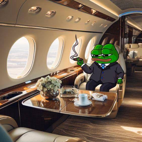 PEPES0UP's tweet image. its realy @elonmusk flying to #nashville to #Bitcon2024 ⁉️
