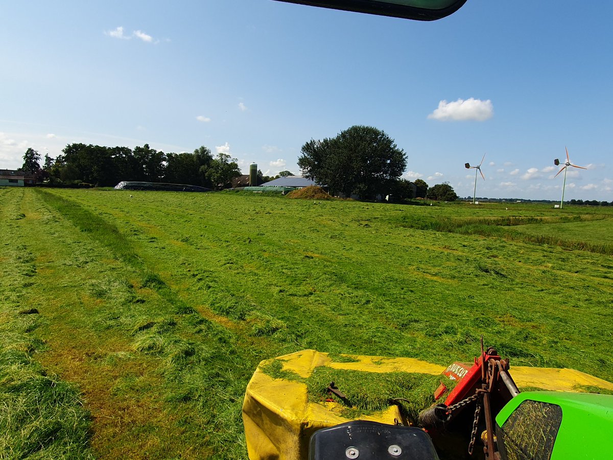 Alex Datema tweet media