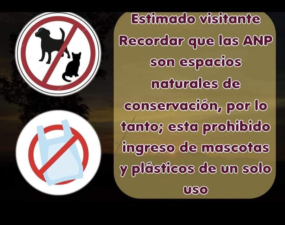 SantaCruzMap's tweet image. #ANP 

#santacruztravelmap