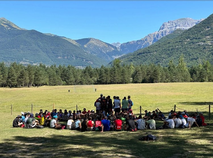 Alex Fercho tweet media