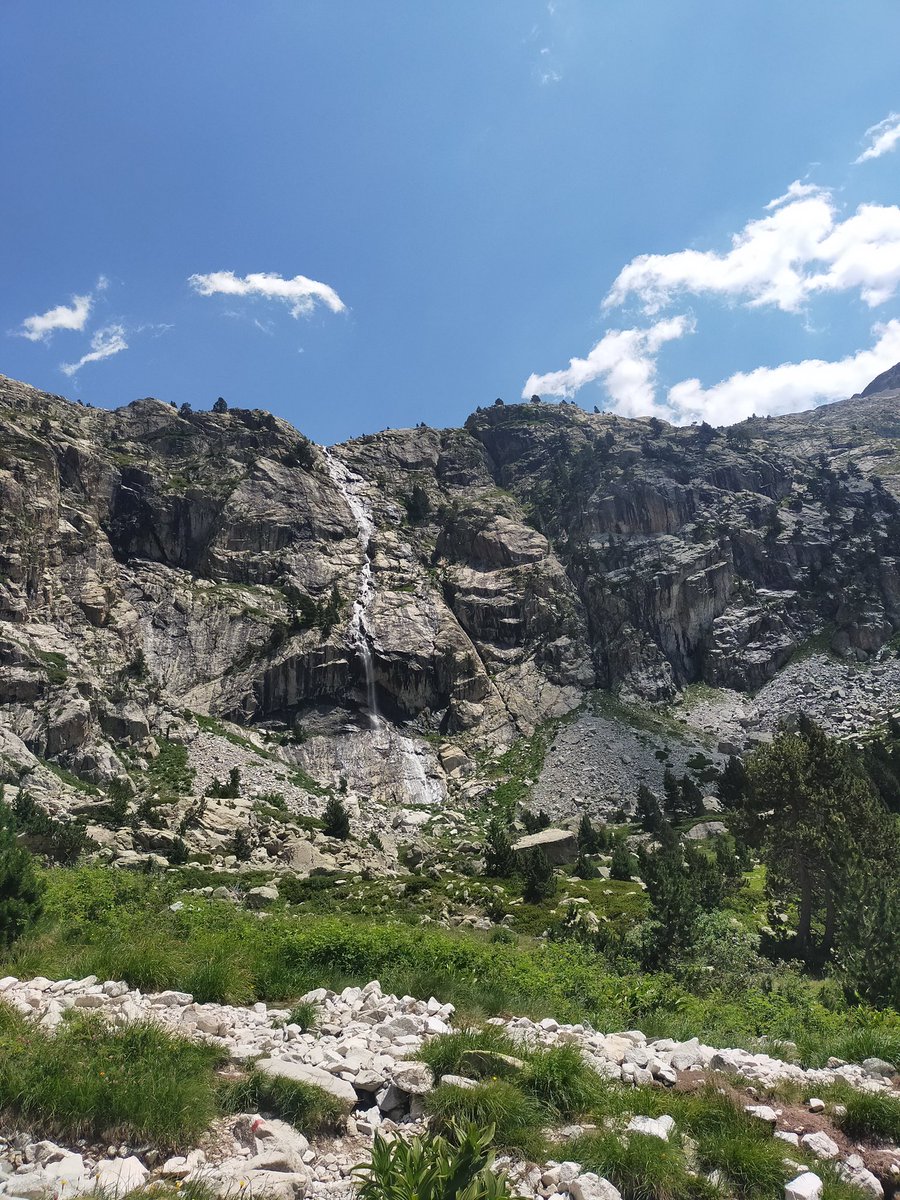 Alex Fercho tweet media