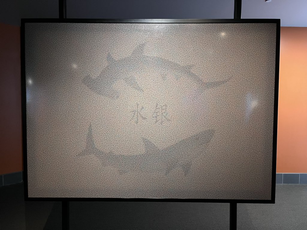 🪼taking on the jellies🪼