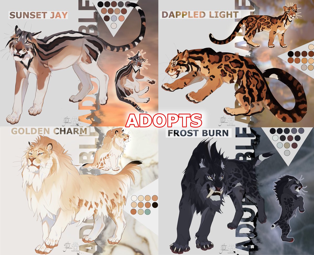 blackscour 🐯 tiger enthusiast tweet media