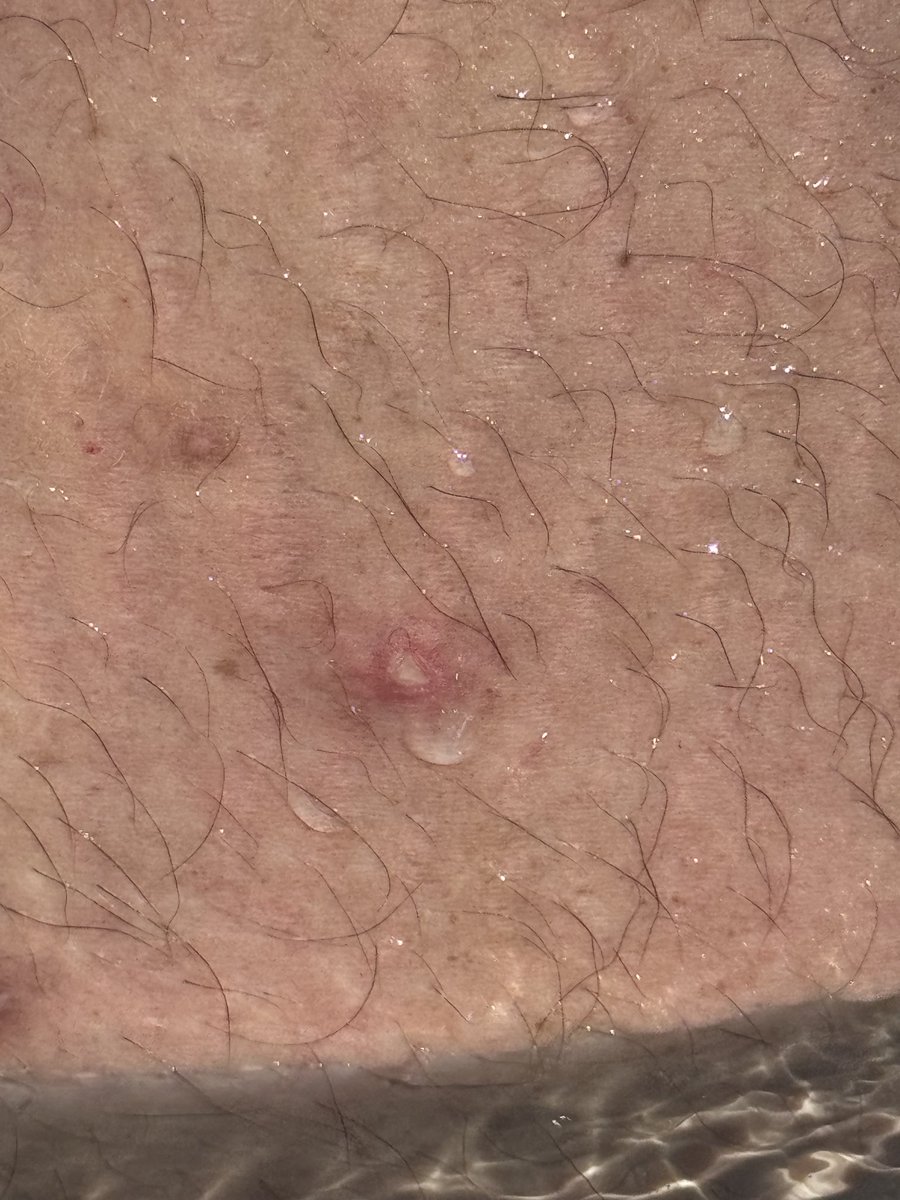 The Chad Dukes Show tweet media