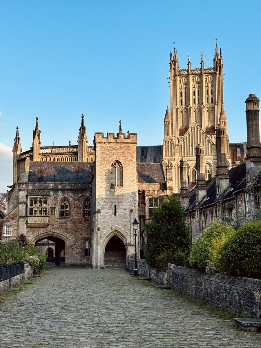 Ellie Knott tweet media