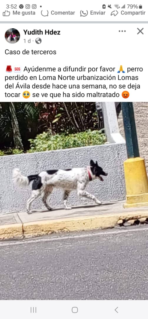 𝕄𝕒𝕣amos24 (@margararamos) on Twitter photo Por favor difundir, caso publicado en Facebook <a href="/DUINCONSUELOC/">2C@#DUINCONSUELOC</a>
<a href="/Ma_Elisa_G/">#VzlaEntrampadaEntreDuplaMudPsuv🇻🇪🇻🇪</a>
<a href="/manosdlsangeles/">manosdelosangeles</a>
<a href="/maritesotelo/">Marite Sotelo</a>
<a href="/Mary_Jar/">🟣Mary X 🐕🐈</a>
<a href="/Mary_Vzlna/">Mary</a>
<a href="/PerroUsuario/">PerroUsuario Wof '•'</a>
@naranjara
<a href="/MorenoRosales21/">MorenoR</a>
facebook.com/share/iDt6Pmy5… Por favor difundir, caso publicado en Facebook <a href="/DUINCONSUELOC/">2C@#DUINCONSUELOC</a>
<a href="/Ma_Elisa_G/">#VzlaEntrampadaEntreDuplaMudPsuv🇻🇪🇻🇪</a>
<a href="/manosdlsangeles/">manosdelosangeles</a>
<a href="/maritesotelo/">Marite Sotelo</a>
<a href="/Mary_Jar/">🟣Mary X 🐕🐈</a>
<a href="/Mary_Vzlna/">Mary</a>
<a href="/PerroUsuario/">PerroUsuario Wof '•'</a>
@naranjara
<a href="/MorenoRosales21/">MorenoR</a>
facebook.com/share/iDt6Pmy5…