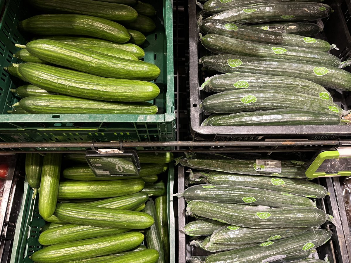 Bio komkommers in plastic naast de gangbare? Duurzaam? #komkommertijd #ah