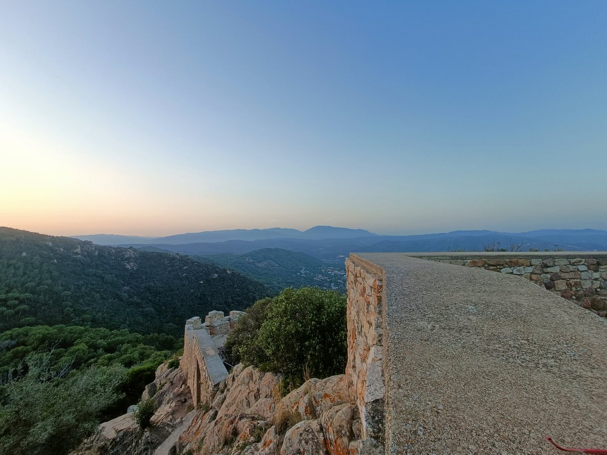 Pau Pujol Vilà tweet media