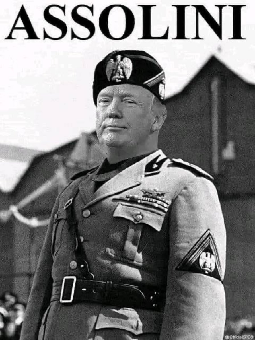 mjfree's tweet image. 