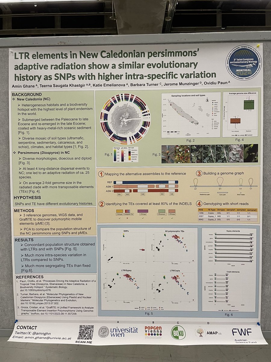 LTR elements in New Caledonian persimmons’ adaptive radiation show a similar evolutionary history as SNPs with higher intra-specific variation #Evol2024
