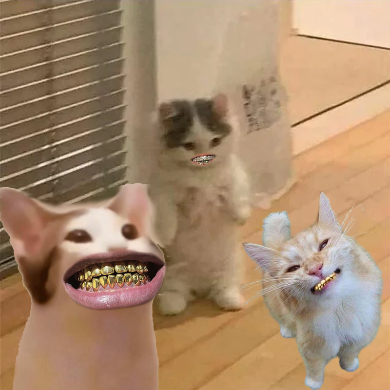 YeaVavy's tweet photo. @SolPacShakur @TheManeCat https://t.co/0dpVxoZUUO