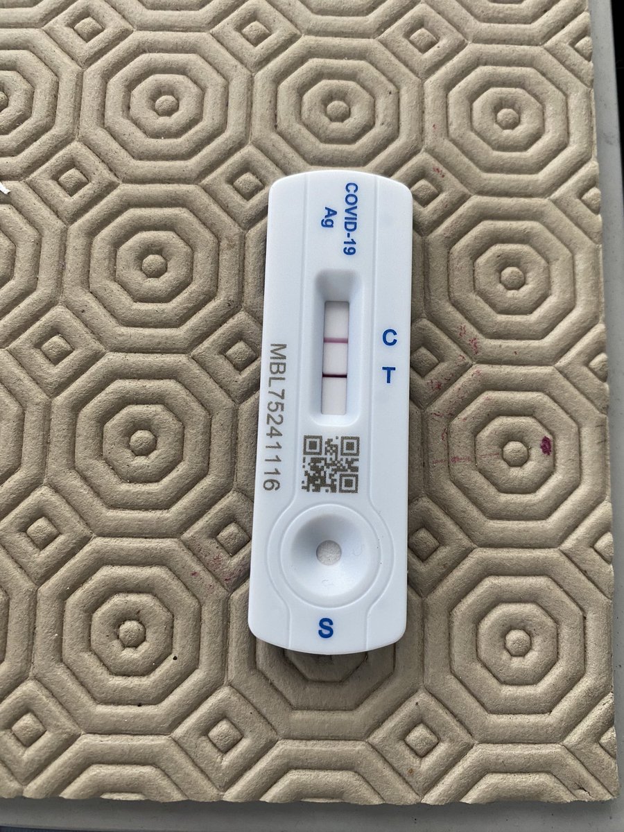 stella owen tweet media