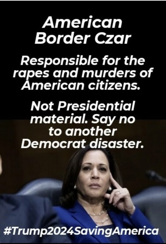 JamesPleickhar2's tweet photo. You think things were bad under Joe Biden’s administration!?

We haven’t seen nothing yet! 🤬

Vote like your families lives depend on it, cause they DO!!!
#TRUMP2024ToSaveAmerica https://t.co/8zyYZ1KWmd