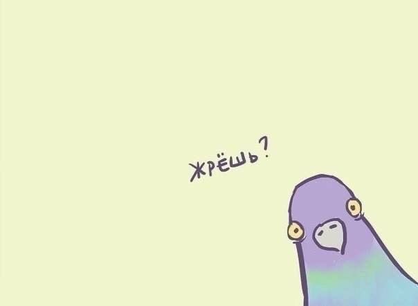 Ars (@rsssft) on Twitter photo 