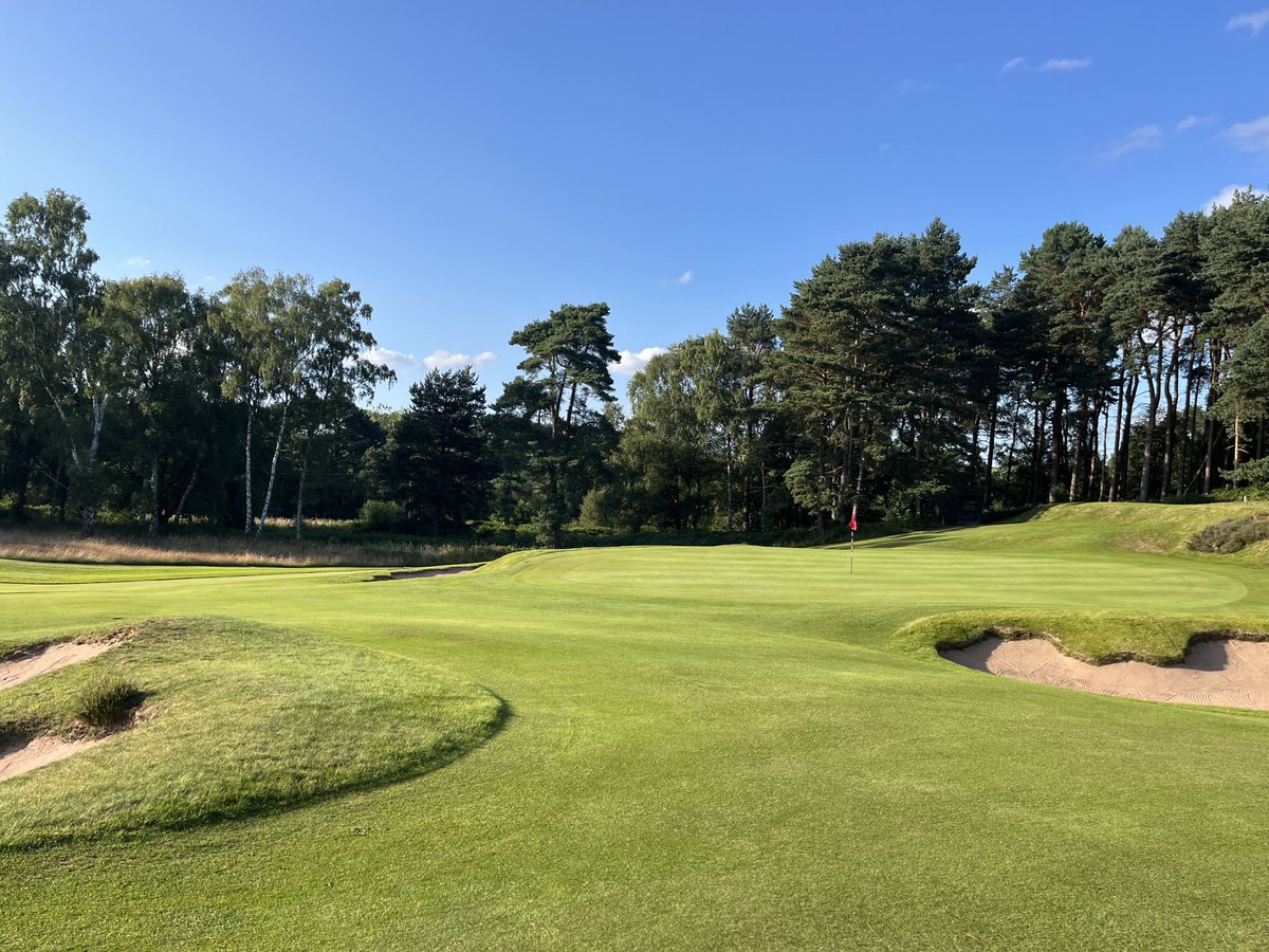 Andrew Williamson tweet media