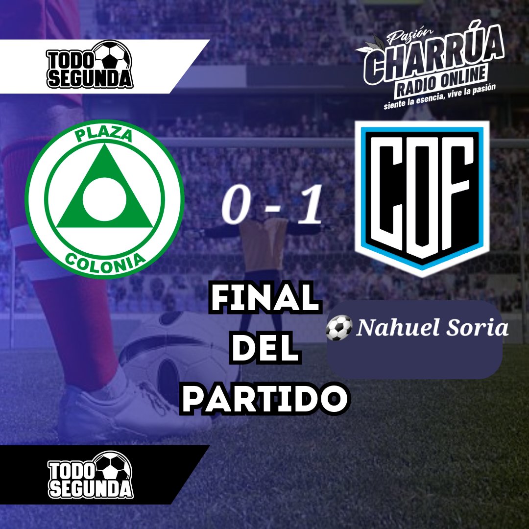 Todo Segunda tweet media