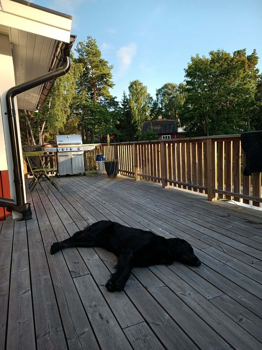 BSoftaofta's tweet photo. #SoftaOfta back in the woods #Värmdö ✌️💞😇🇸🇪🇪🇺🇺🇦🎶🏴‍☠️💛❤️💙 #VikTime 🌲💯🤟 https://t.co/vXiUGDYo04