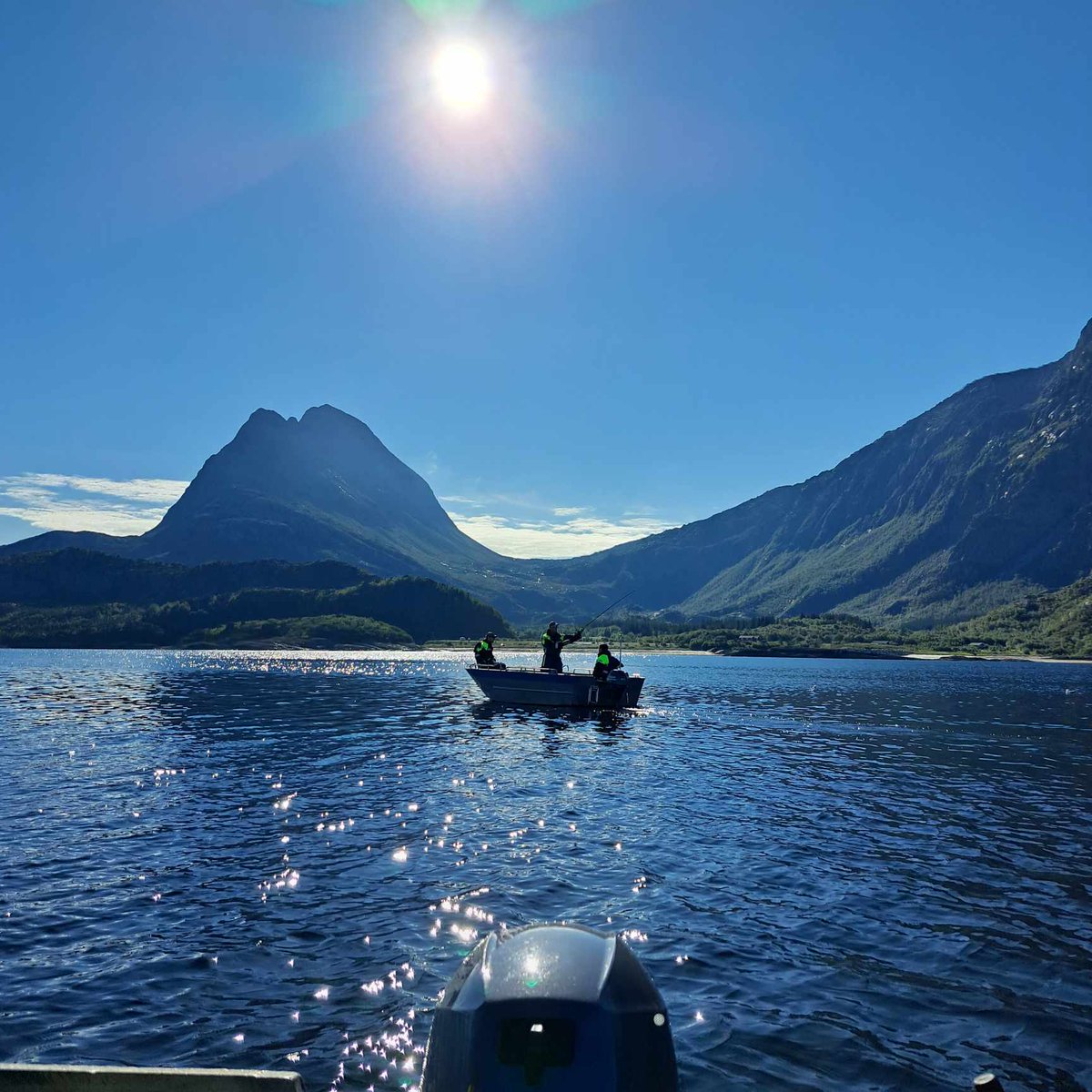 Diddeboy tweet media