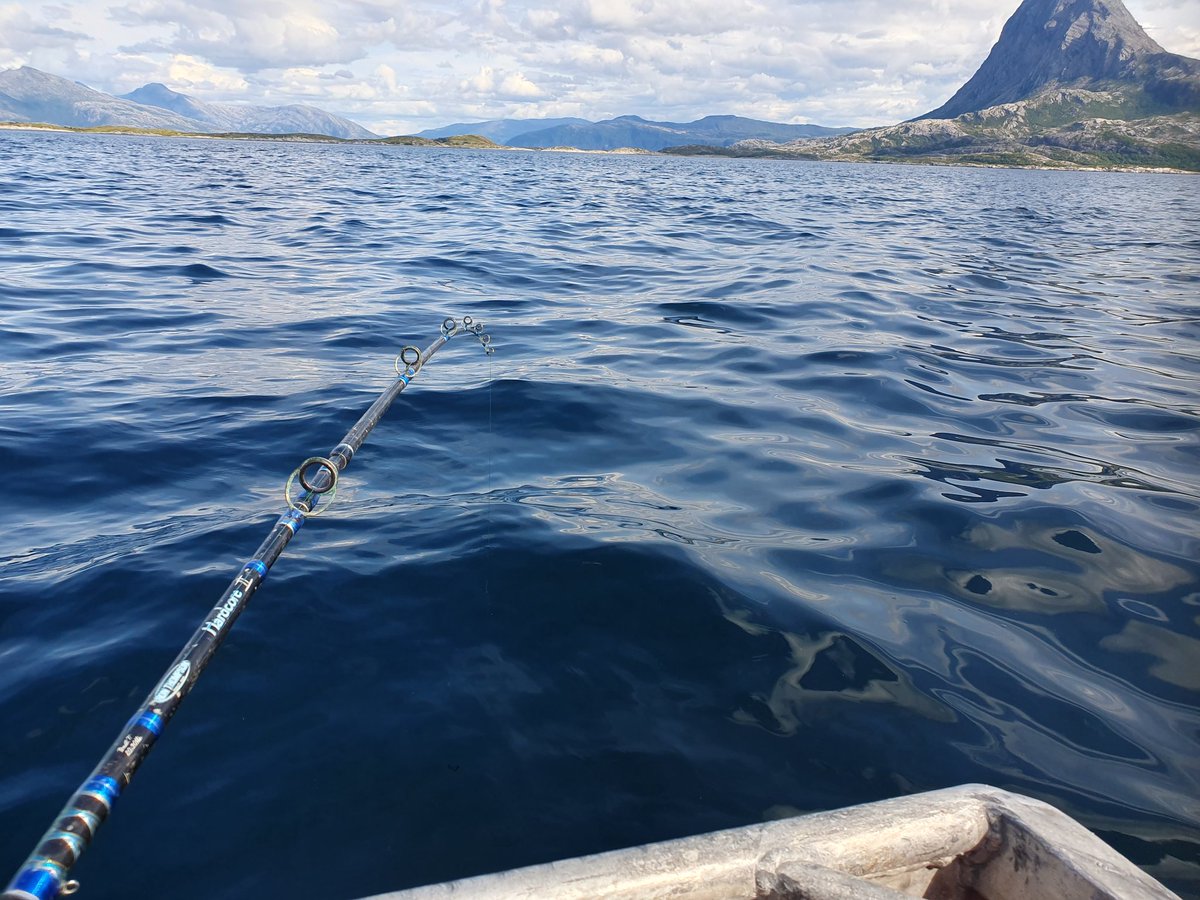 Diddeboy tweet media