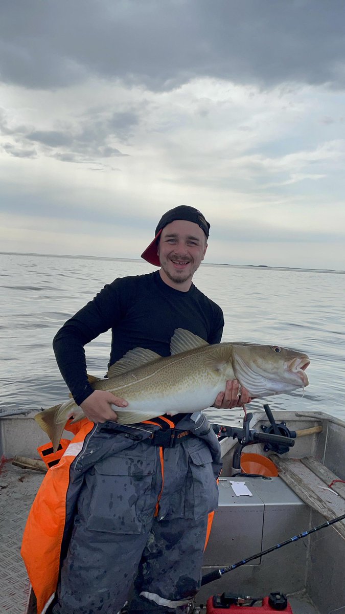 Diddeboy tweet media