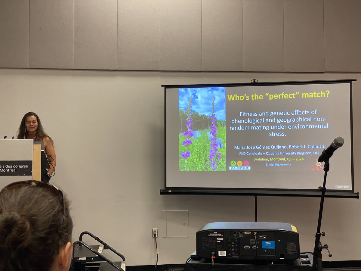 evoecolab's tweet photo. How does nonrandom mating influence plant fitness in purple loosestrife? Assortative mating reduces fitness (reduced seed weight and germination), but outbreeding depression among distance populations under stress. Great talk M. J. Gómez Quijano! @ColauttiLab #Evol2024 https://t.co/J8PeoQ28Gd