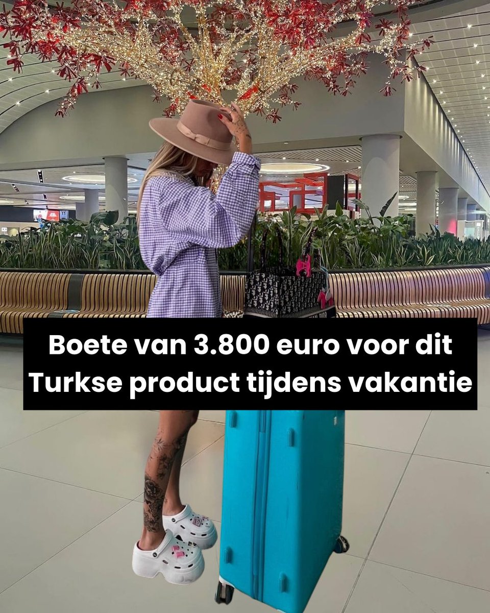 de Jonge Turken tweet media