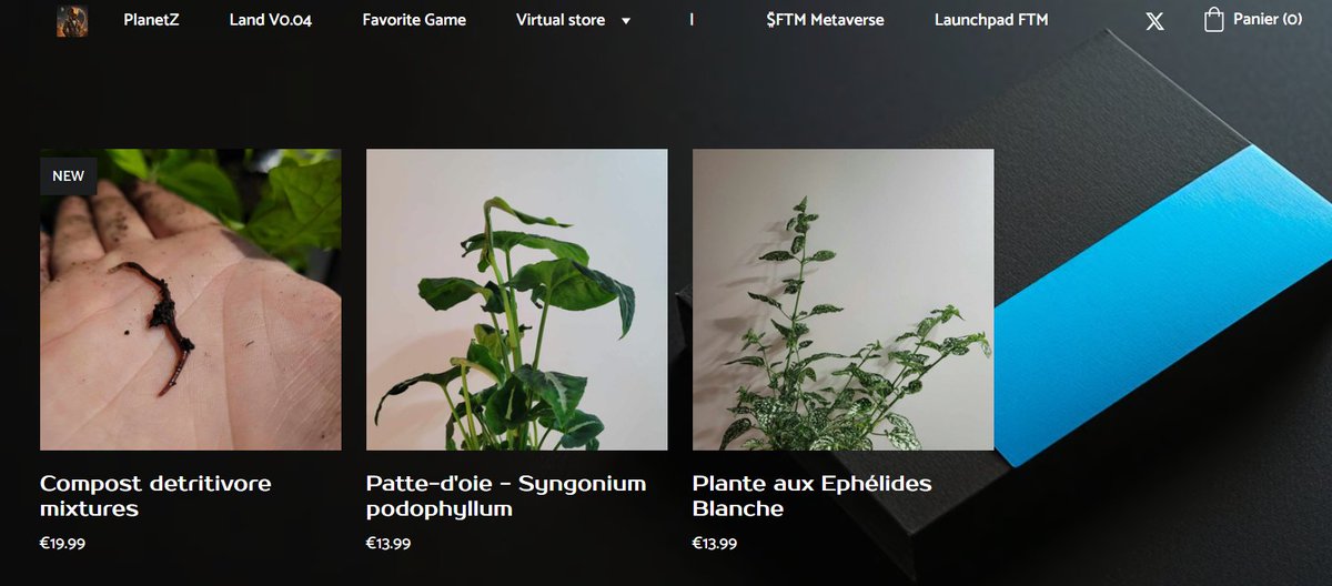 iaDotaCrypto's tweet photo. Discover our fabulous houseplants. Available only for France.๐ซ๐ท
๐ฅฐCultivated with love, she is just waiting for a home
https://t.co/uKfyTaNjVB
#plant #planetZ #CommunityPower #nature #store https://t.co/zQuz07n1NW