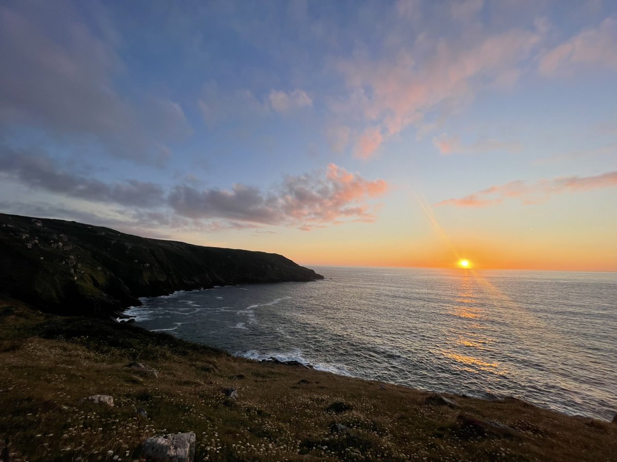 Elizabeth Smith tweet media