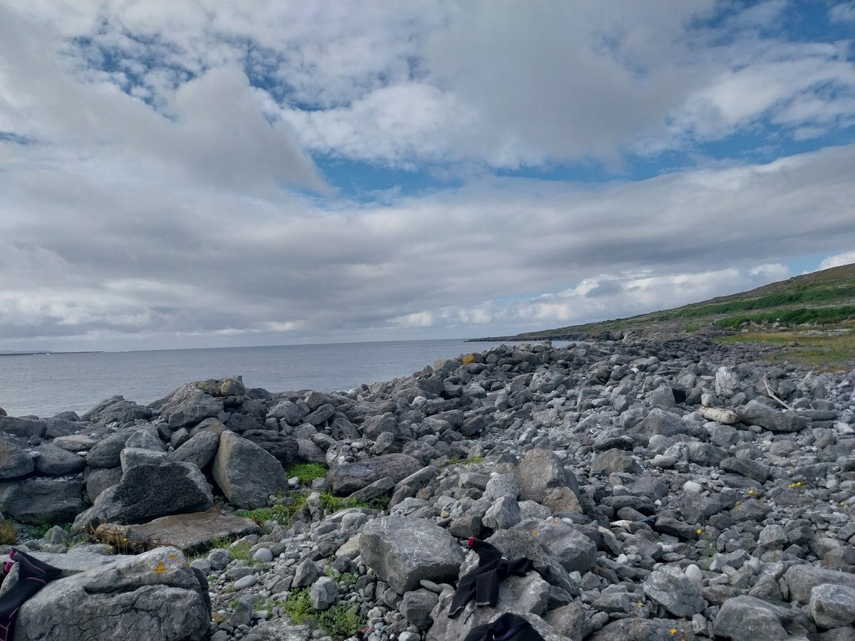 Tommy owens tweet media