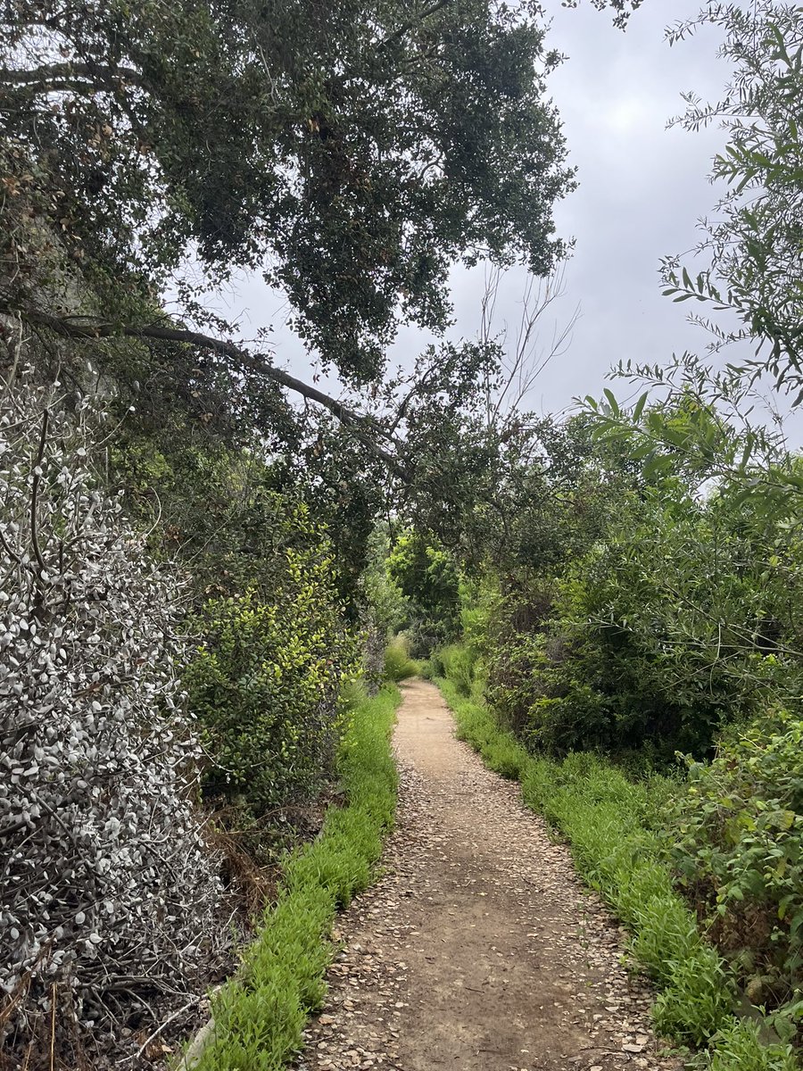 moonkittyxoxo's tweet photo. Walk &amp; ☕️ with my bf this morning :) I loveee long walks on vacations bc I hate when I cant be as active! 
~Ft. the most cals I’ve ever burned on a walk omg~ https://t.co/1A5RBkqpCg