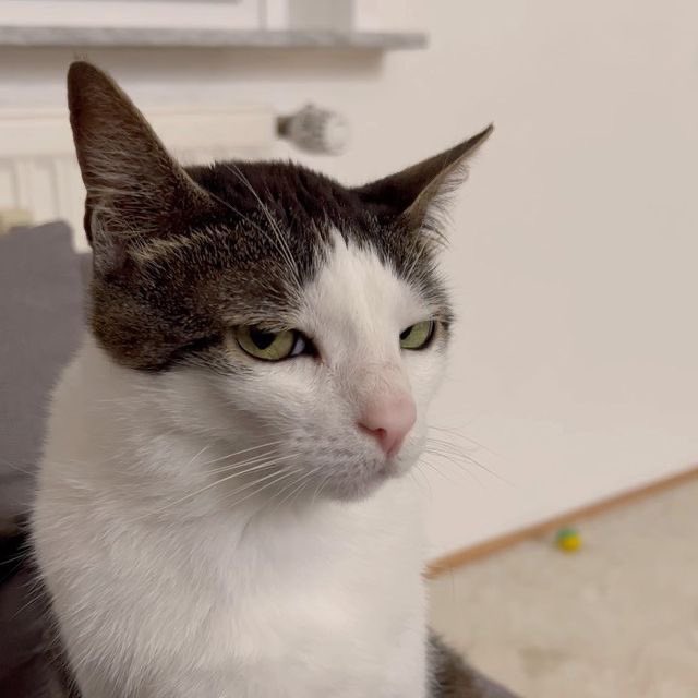 you disturb my peace